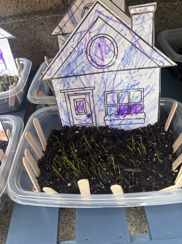 Photo for Growing Grass