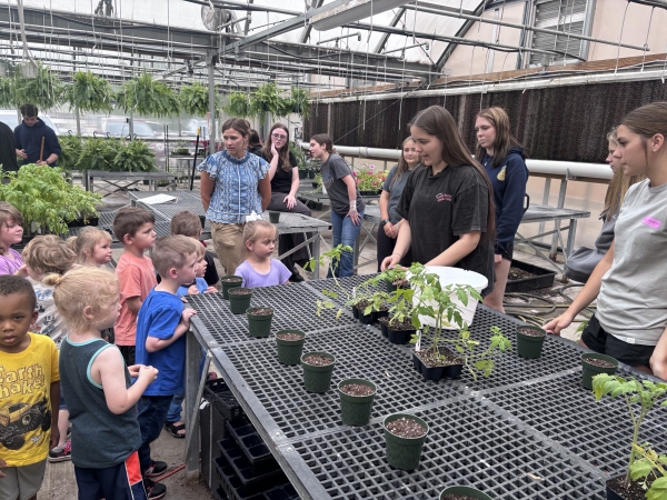 Photo for Greenhouses are the secret ingredient